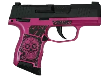 herogunshop-120261013093549238209