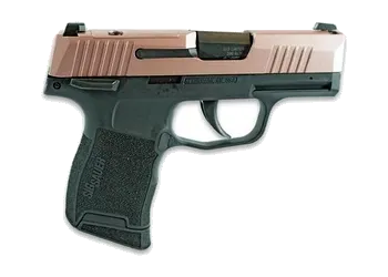 herogunshop-120261013110337256287