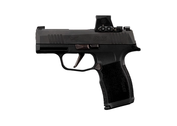 herogunshop-120261013144235287570
